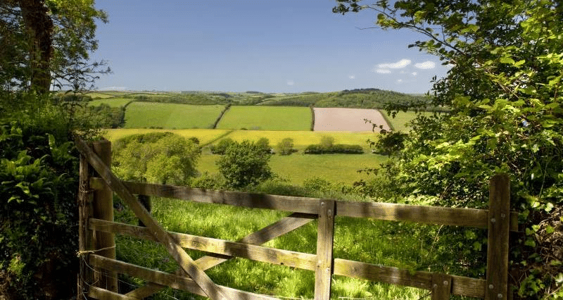 Photo of a field with a gate in the foreground