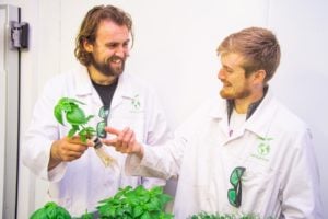 Two scientists with plants