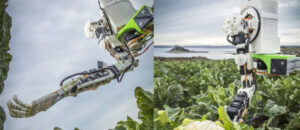 Robots in action in fields